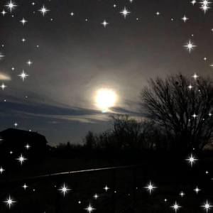 Meet your Posher, Misti